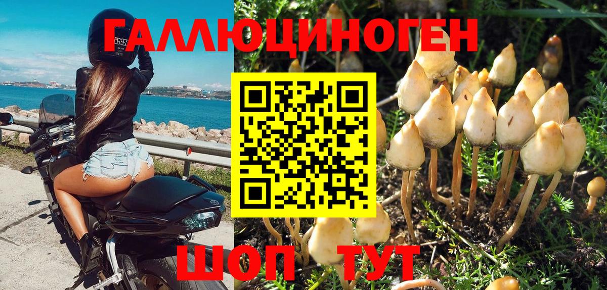 Галлюциногенные грибы мицелий Усолье-Сибирское